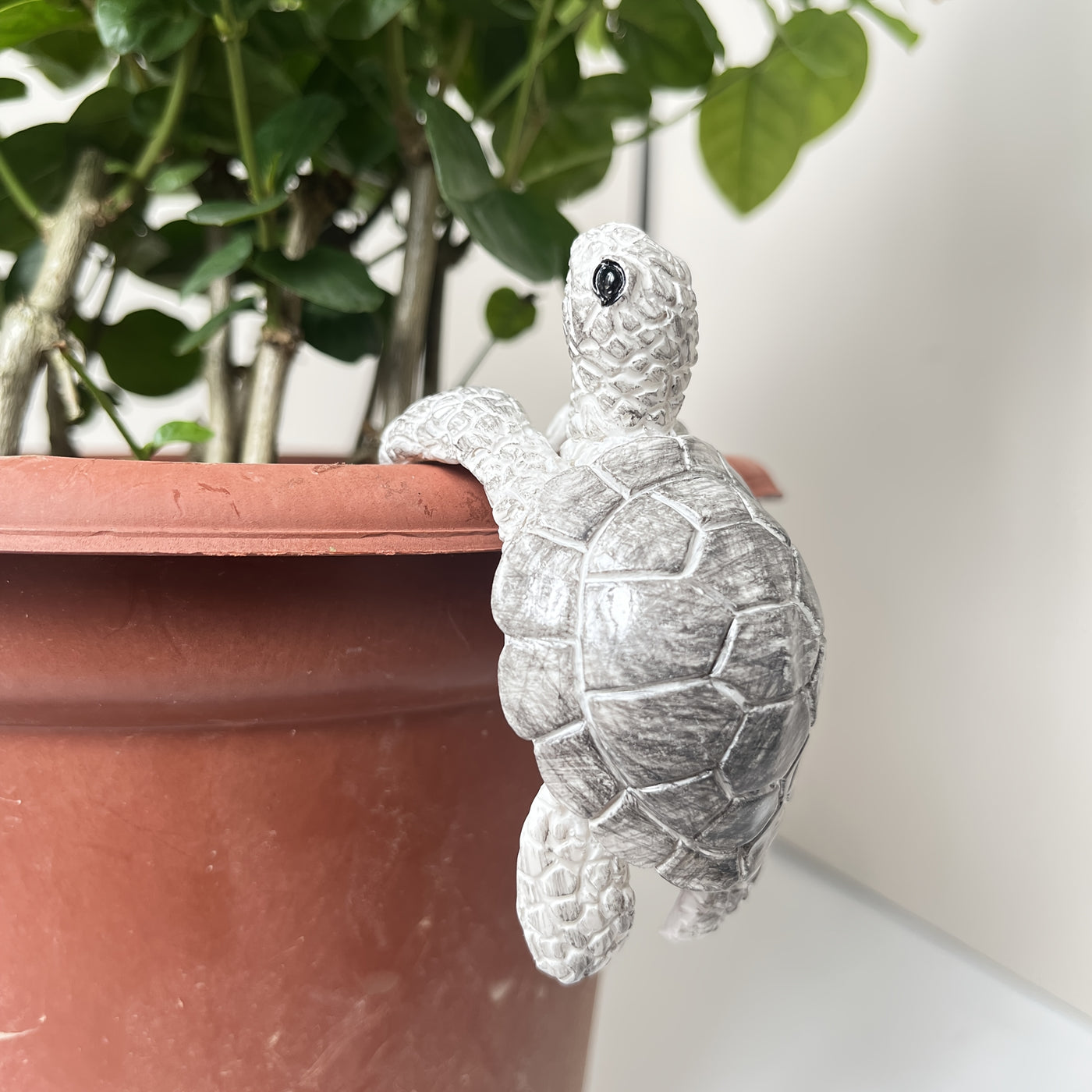 Little Turtle Plant Huggers