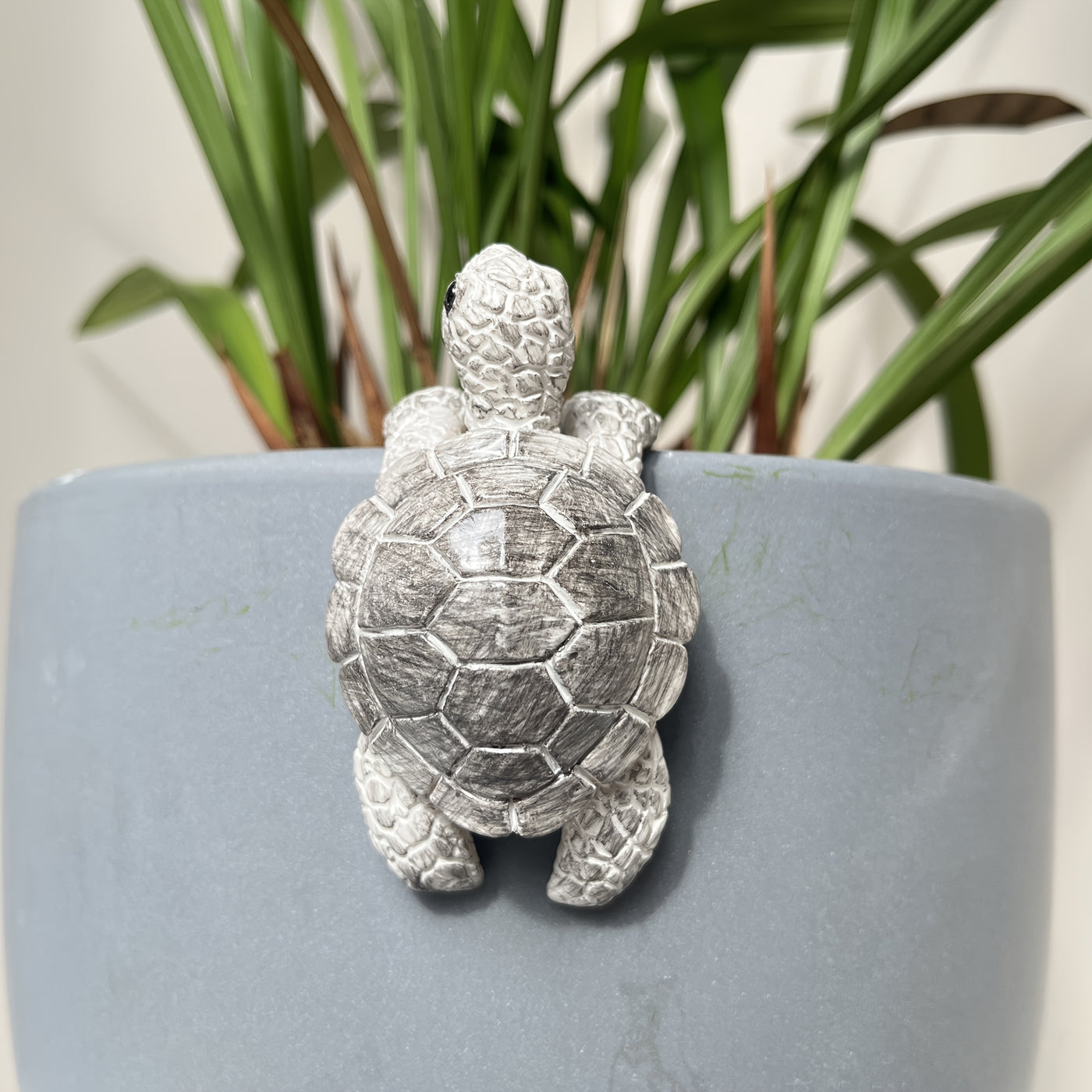 Little Turtle Plant Huggers