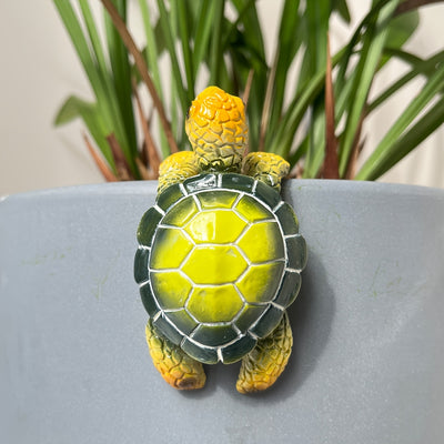 Little Turtle Plant Huggers