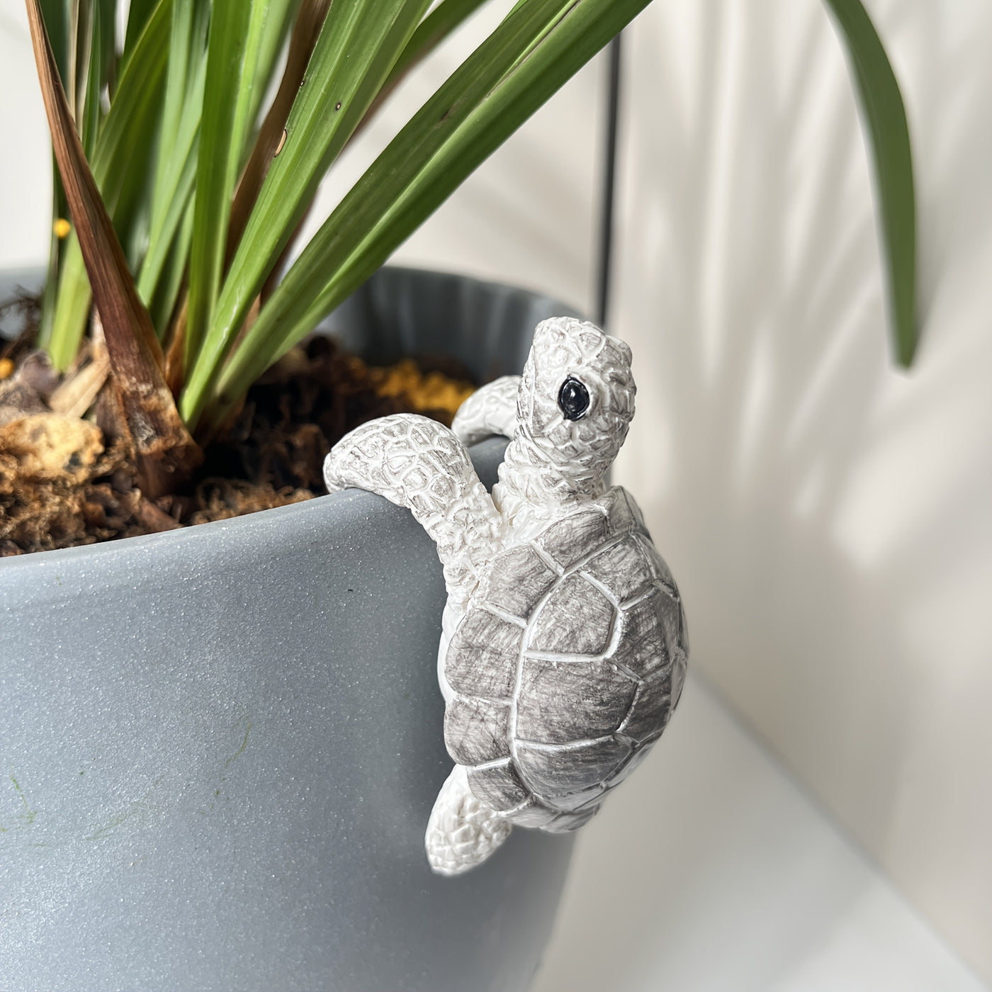 Little Turtle Plant Huggers