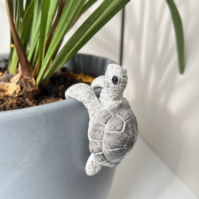 Little Turtle Plant Huggers